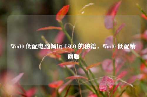 Win10 低配电脑畅玩 CSGO 的秘籍,Win10 低配精简版