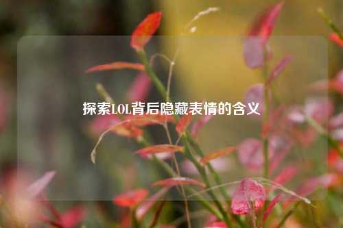 探索LOL背后隐藏表情的含义