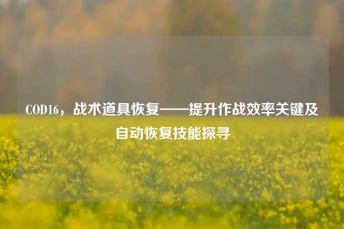 COD16,战术道具恢复——提升作战效率关键及自动恢复技能探寻