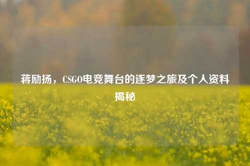 蒋励扬,CSGO电竞舞台的逐梦之旅及个人资料揭秘