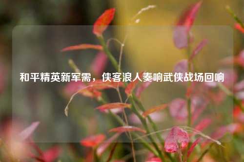 和平精英新军需,侠客浪人奏响武侠战场回响