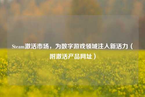 Steam激活市场,为数字游戏领域注入新活力(附激活产品网址)