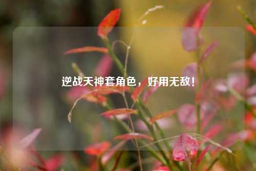 逆战天神套角色,好用无敌!