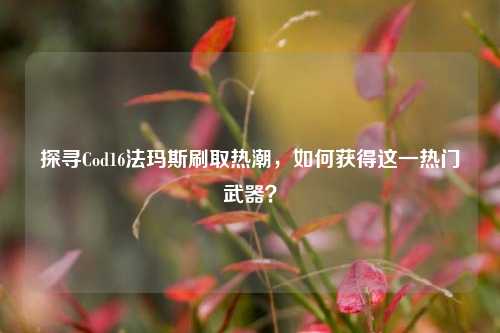 探寻Cod16法玛斯刷取热潮,如何获得这一热门武器?