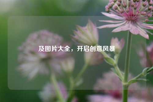 及图片大全,开启创意风暴