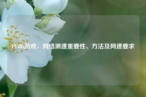 PUBG游戏,网络测速重要性、方法及网速要求