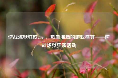 逆战炼狱狂欢2020,热血沸腾的游戏盛宴——逆战炼狱狂袭活动