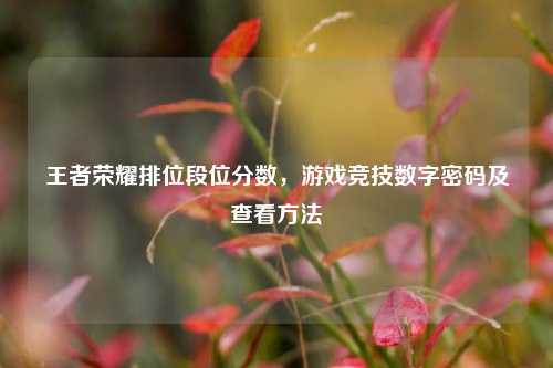 王者荣耀排位段位分数,游戏竞技数字密码及查看方法