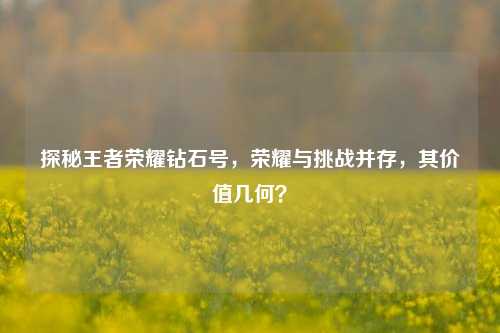探秘王者荣耀钻石号,荣耀与挑战并存,其价值几何?