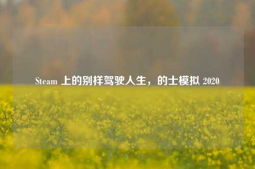 Steam 上的别样驾驶人生,的士模拟 2020