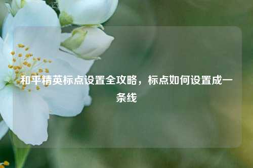 和平精英标点设置全攻略,标点如何设置成一条线