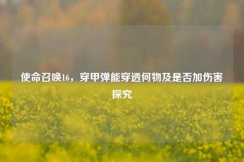 使命召唤16,穿甲弹能穿透何物及是否加伤害探究