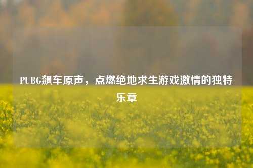PUBG飙车原声,点燃绝地求生游戏激情的独特乐章