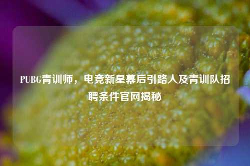 PUBG青训师,电竞新星幕后引路人及青训队招聘条件官网揭秘