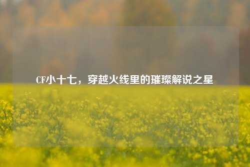 CF小十七,穿越火线里的璀璨解说之星
