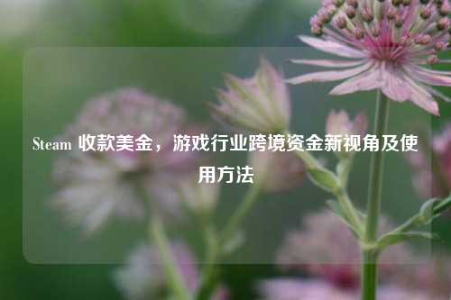 Steam 收款美金,游戏行业跨境资金新视角及使用方法