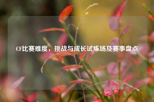 CF比赛难度,挑战与成长试炼场及赛事盘点