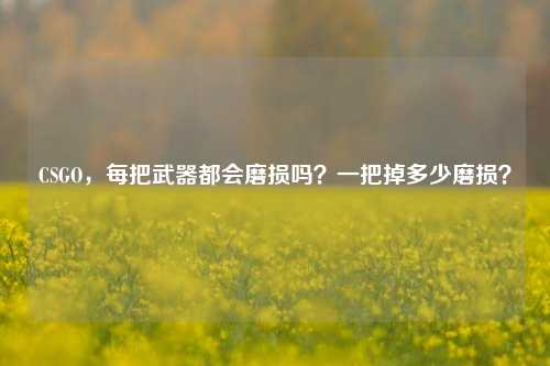 CSGO,每把武器都会磨损吗?一把掉多少磨损?