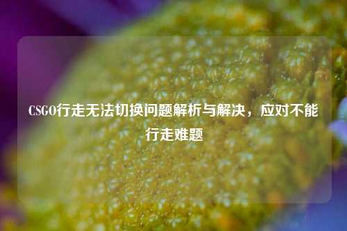 CSGO行走无法切换问题解析与解决,应对不能行走难题
