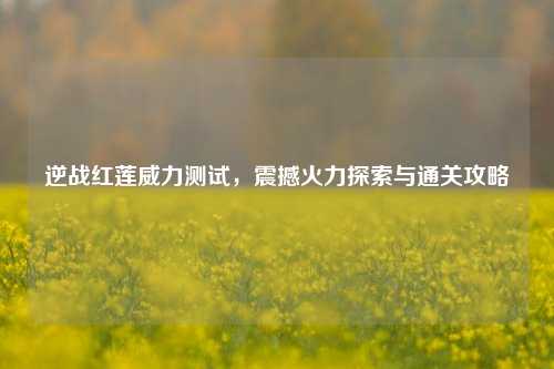 逆战红莲威力测试，震撼火力探索与通关攻略