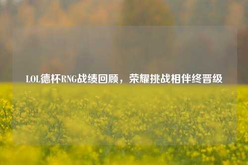 LOL德杯RNG战绩回顾,荣耀挑战相伴终晋级