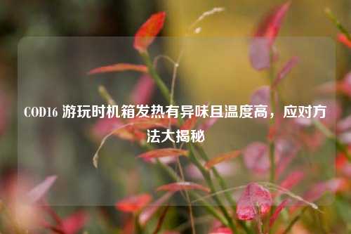 COD16 游玩时机箱发热有异味且温度高,应对方法大揭秘