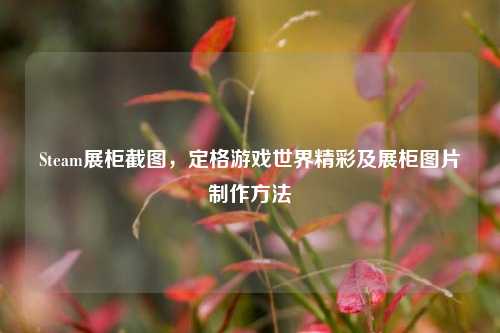 Steam展柜截图,定格游戏世界精彩及展柜图片制作方法