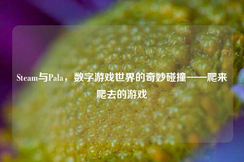 Steam与Pala,数字游戏世界的奇妙碰撞——爬来爬去的游戏
