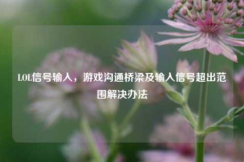 LOL信号输入,游戏沟通桥梁及输入信号超出范围解决办法