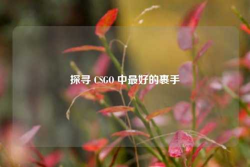 探寻 CSGO 中最好的裹手