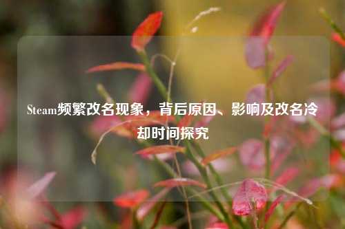 Steam频繁改名现象,背后原因、影响及改名冷却时间探究