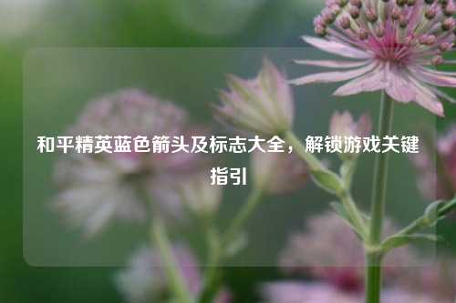 和平精英蓝色箭头及标志大全,解锁游戏关键指引