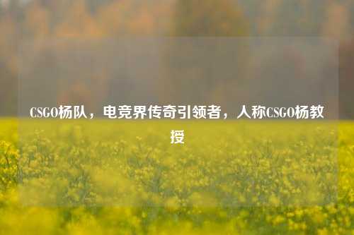 CSGO杨队,电竞界传奇引领者,人称CSGO杨教授