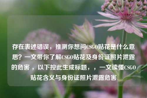 存在表述错误,推测你想问CSGO贴花是什么意思?一文带你了解CSGO贴花及身份证照片泄露的危害 ,以下按此生成标题,,一文读懂CSGO贴花含义与身份证照片泄露危害