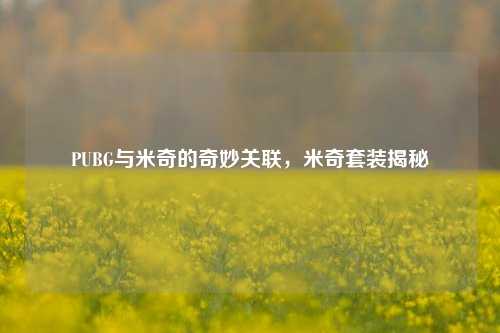 PUBG与米奇的奇妙关联,米奇套装揭秘