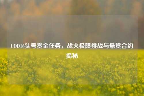 COD16头号赏金任务,战火极限挑战与悬赏合约揭秘