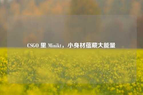 CSGO 里 Minikt,小身材蕴藏大能量