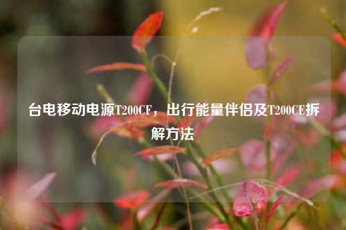台电移动电源T200CF,出行能量伴侣及T200CE拆解方法
