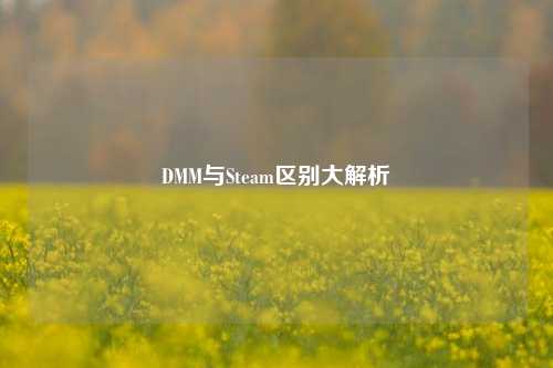 DMM与Steam区别大解析