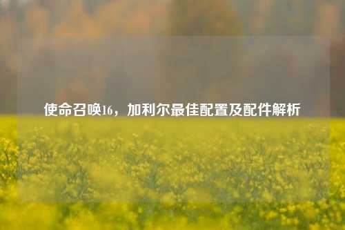 使命召唤16,加利尔最佳配置及配件解析