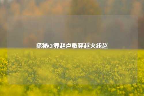 探秘CF界赵卢敏穿越火线赵