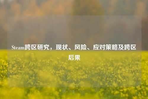 Steam跨区研究,现状、风险、应对策略及跨区后果