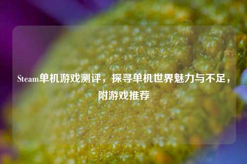 Steam单机游戏测评,探寻单机世界魅力与不足,附游戏推荐