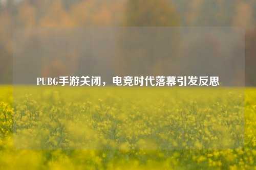 PUBG手游关闭,电竞时代落幕引发反思