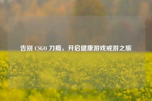 告别 CSGO 刀瘾，开启健康游戏戒游之旅