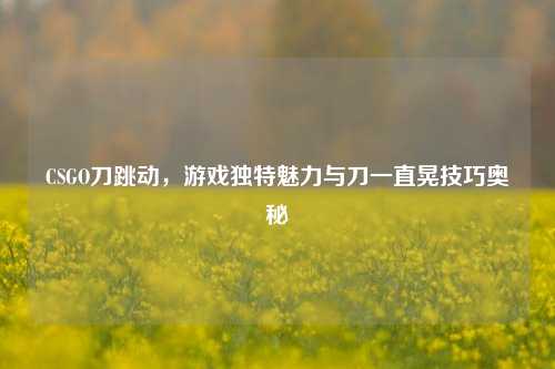 CSGO刀跳动,游戏独特魅力与刀一直晃技巧奥秘