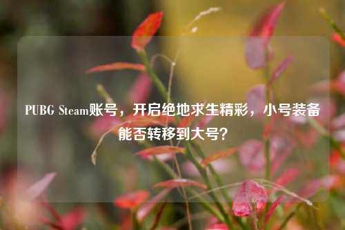 PUBG Steam账号,开启绝地求生精彩,小号装备能否转移到大号?
