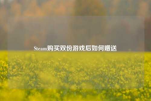 Steam购买双份游戏后如何赠送