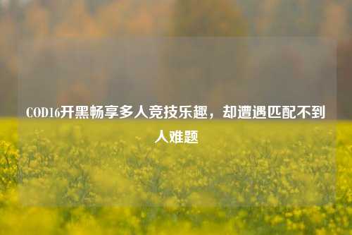COD16开黑畅享多人竞技乐趣,却遭遇匹配不到人难题
