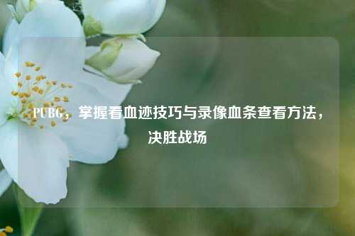 PUBG,掌握看血迹技巧与录像血条查看方法,决胜战场